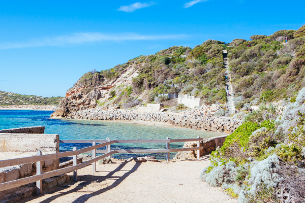 Mornington Peninsula, Nepean District by-election