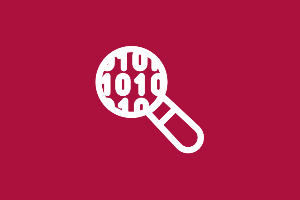 Icon showing a magnifying glass over binary code